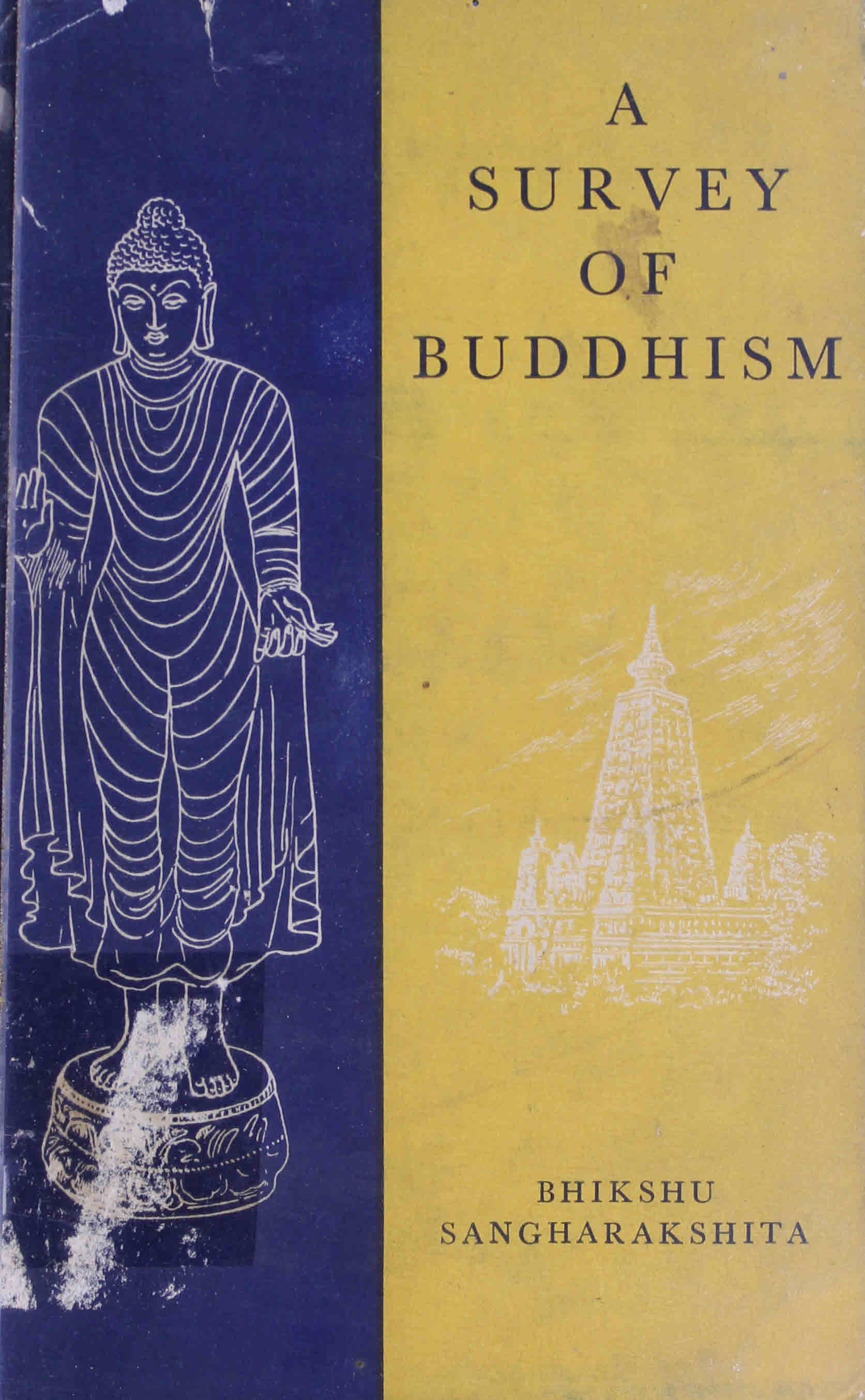 A Survey of Buddhism