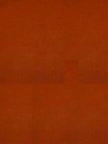 Early Buddhist Theory of Knowledge 